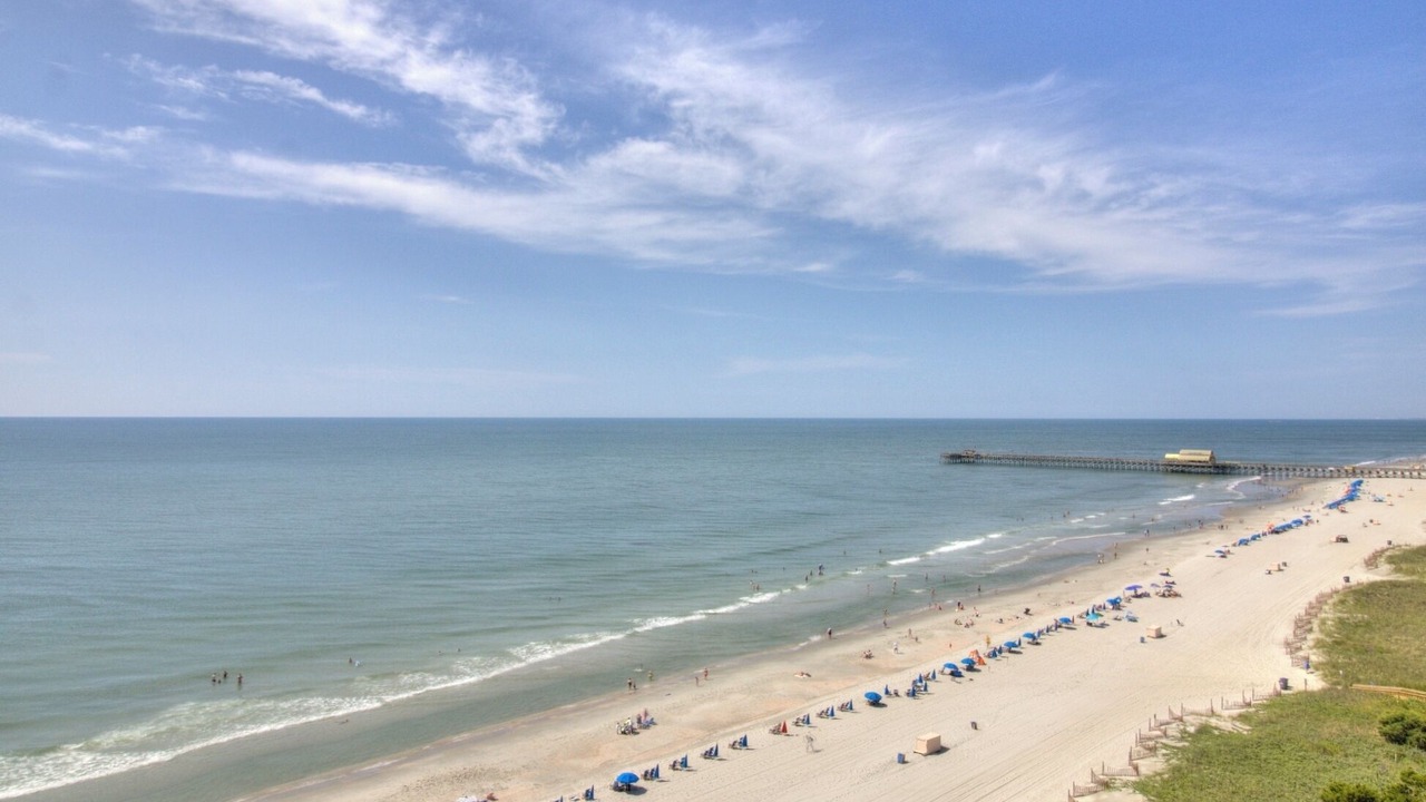 Photo of Others in Arcadian Shores