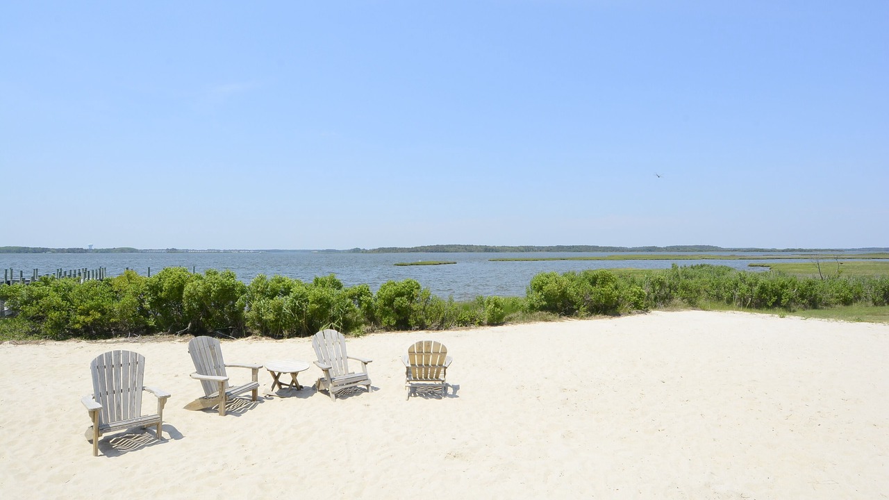 Photo of Others in Fenwick Island