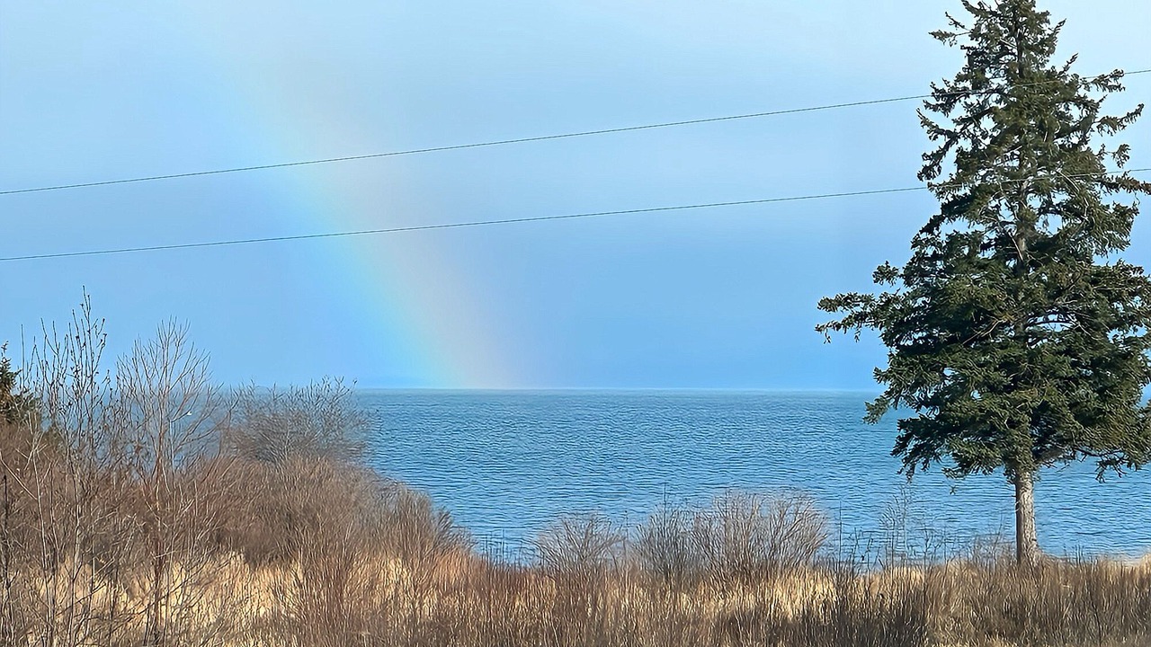 Photo of Others in Homer