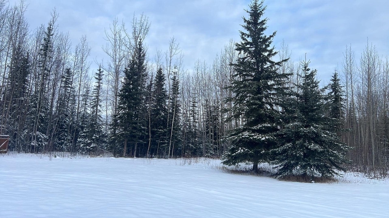 Photo of Others in North Pole