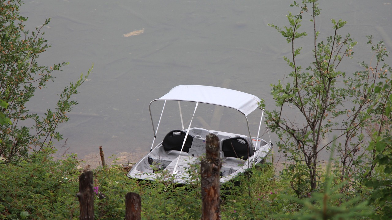 Photo of Others in Susitna North