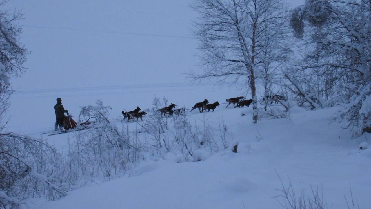 Photo of Outdoor in Susitna North