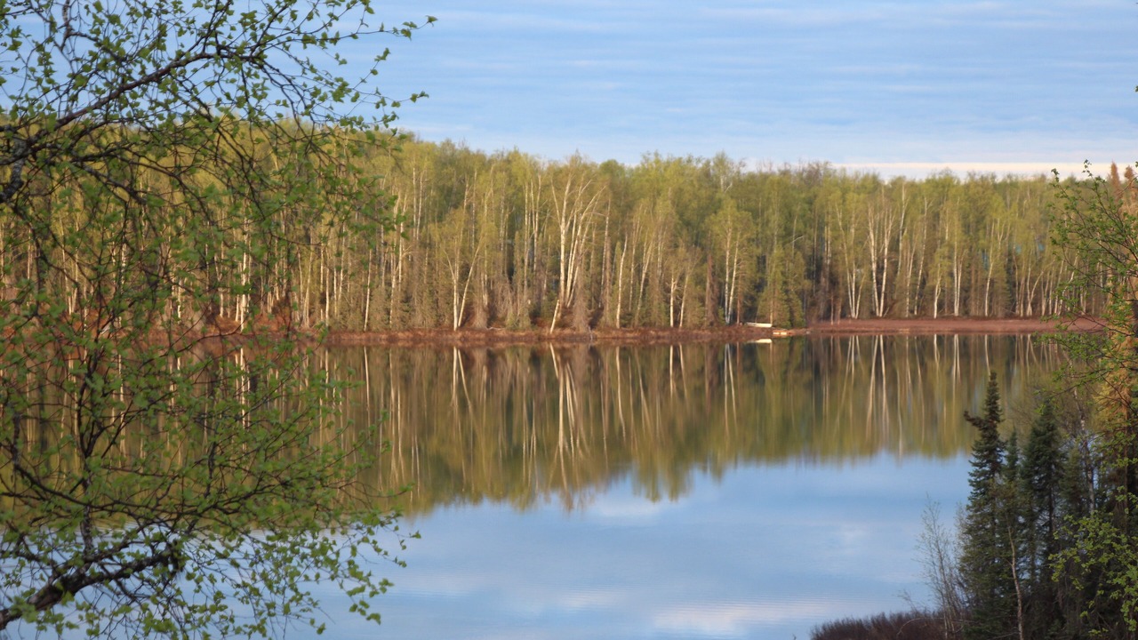 Photo of Outdoor in Susitna North