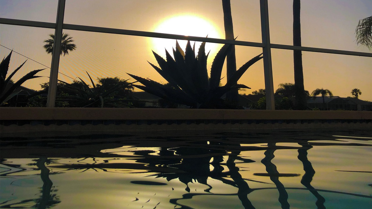 Photo of Outdoor in Sabal Harbour