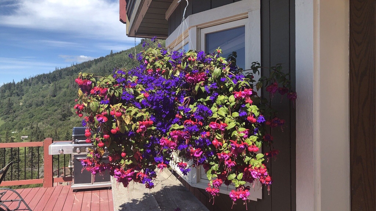 Photo of Outdoor in Bear Valley