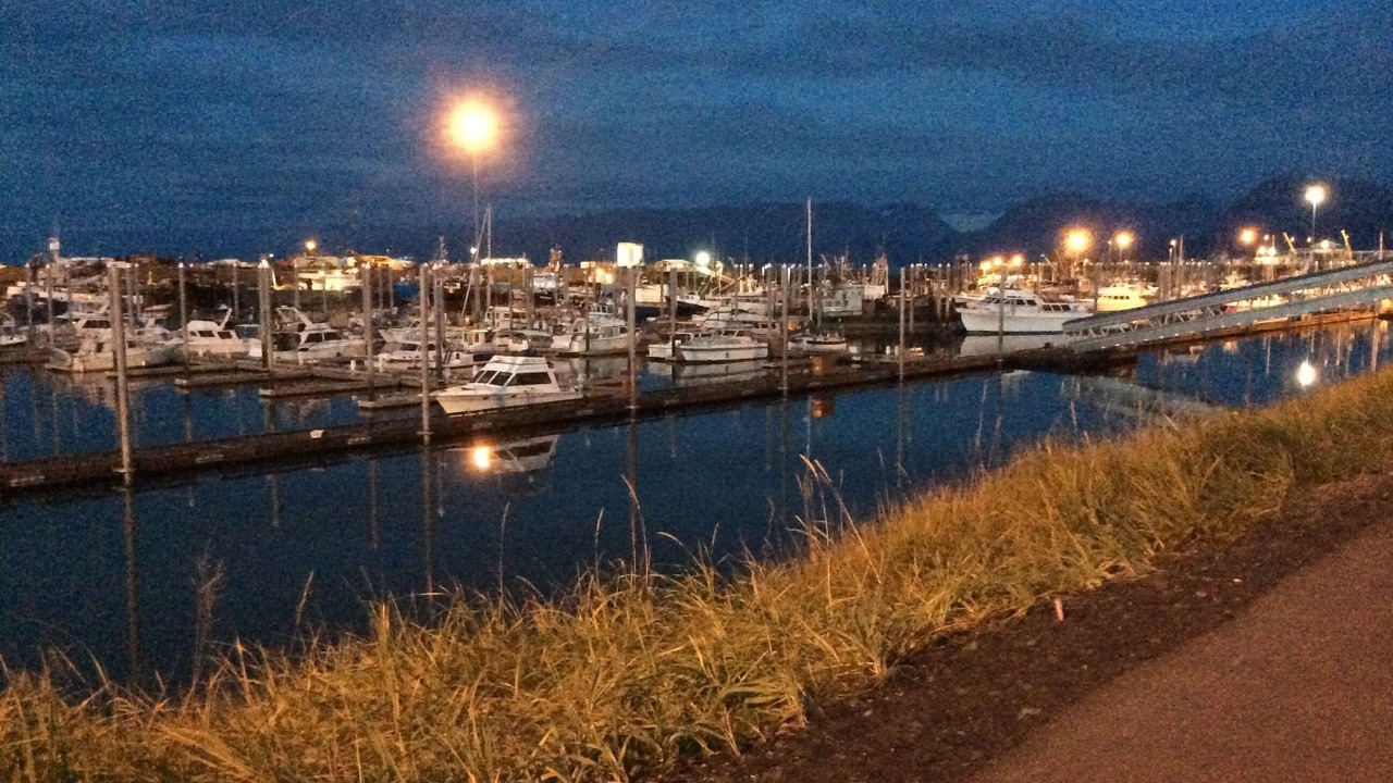 Photo of Others in Homer