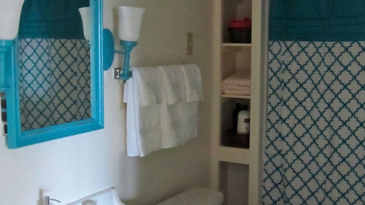 Photo of Bathroom in Homer