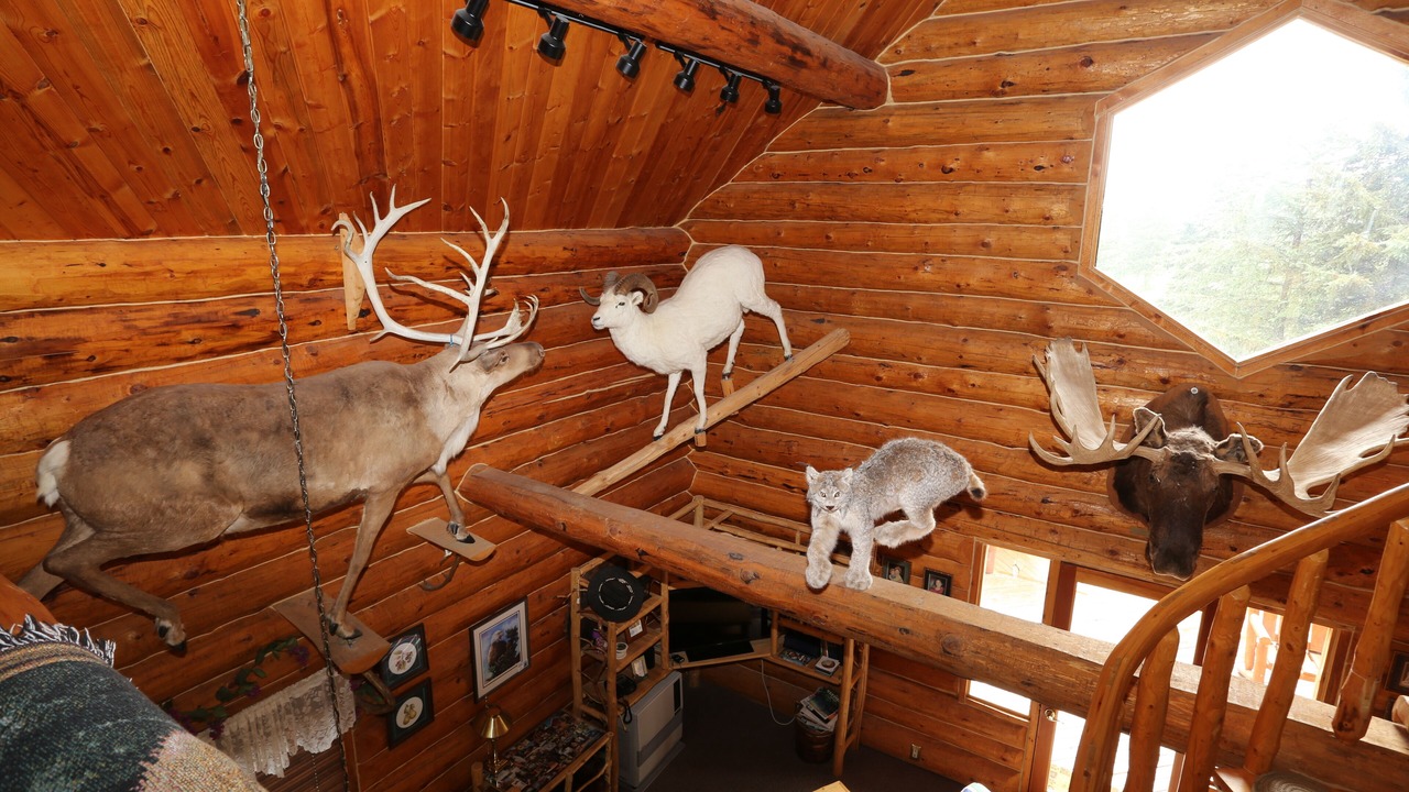 Photo of Others in Anchor Point