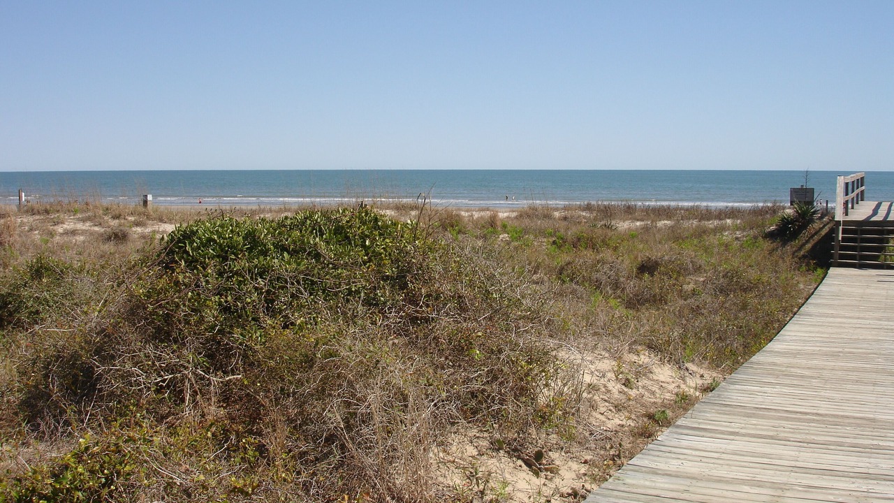 Photo of Others in West Beach Village