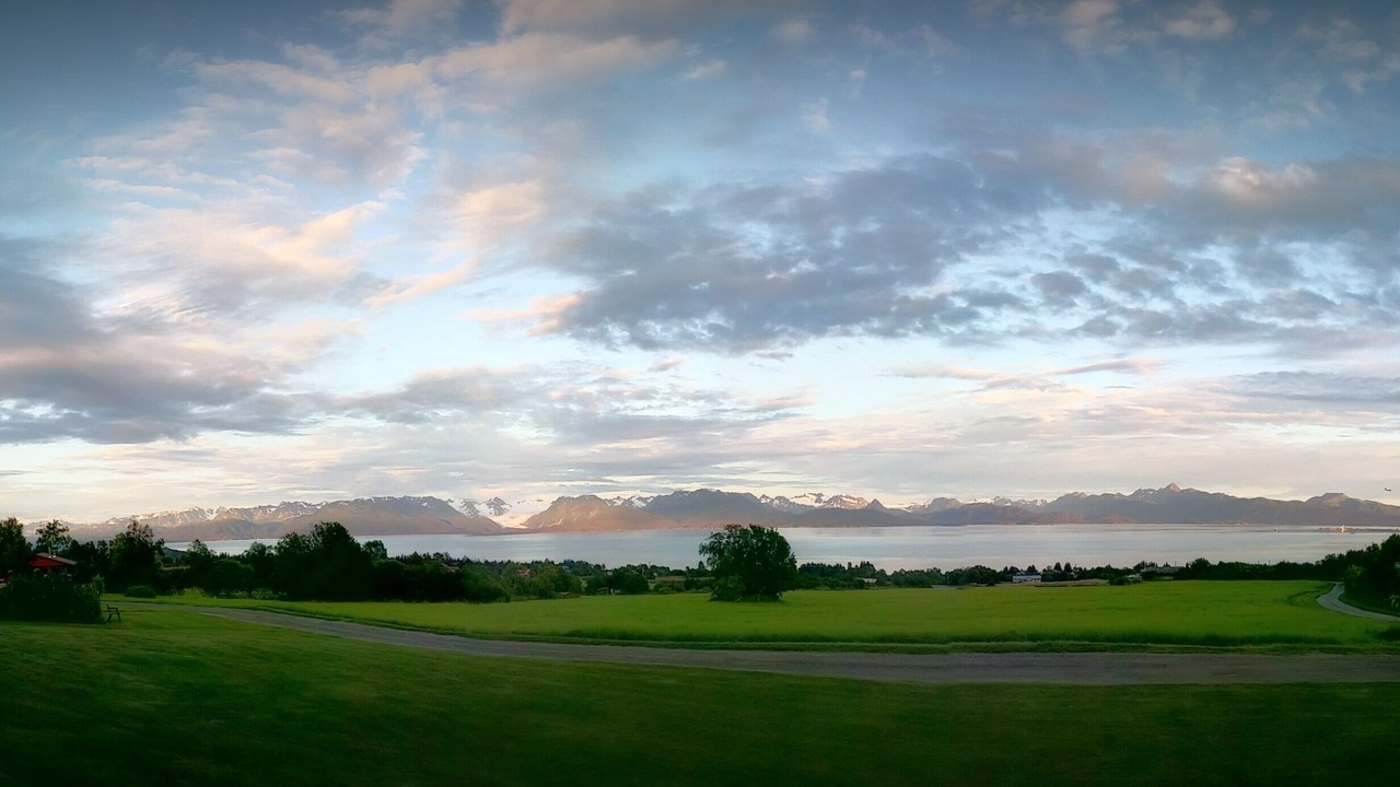 Photo of Others in Kachemak
