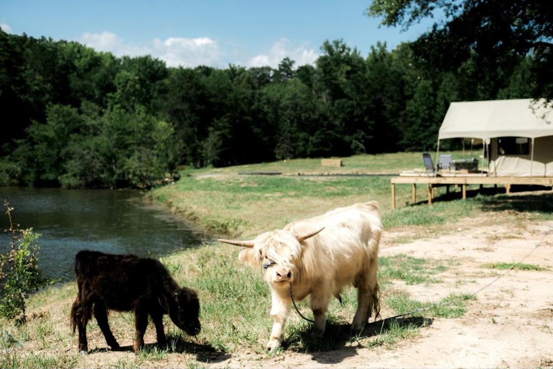 Photo of Others in Fountain Inn