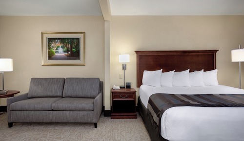 Standard Room, 1 King Bed