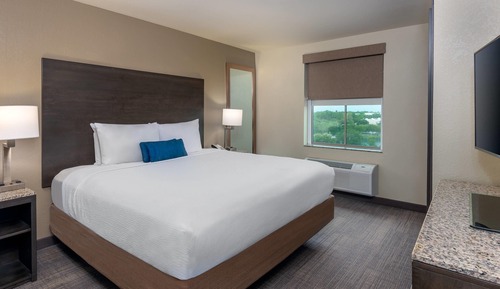 Suite, 1 King Bed with Sofa bed, Non Smoking (Efficiency)