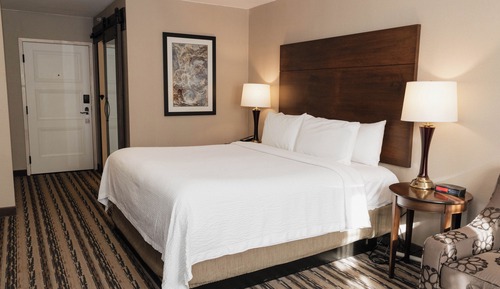 Standard Room, 1 King Bed with Sofa bed, Non Smoking (Pets Allowed)