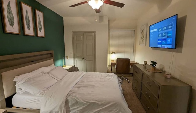 The Green Room 2.0 - 1BD/1BA near NASA JSC